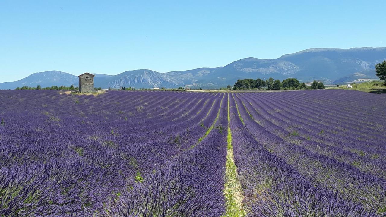 Reve Du Verdhon Régusse Exteriör bild